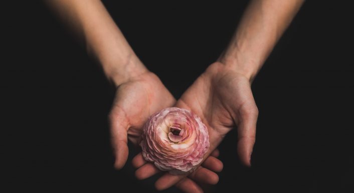 die zerschnittene Rose gilt mittlerweile als Symbol für weibliche Genitalverstümmelung. Die deutsche Gesetzlage will Mädchen und Frauen schützen.© Unsplash / Matthew Henry